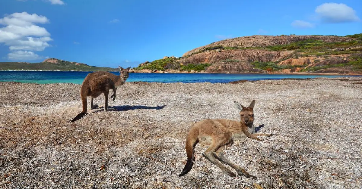 Kangaroo Island