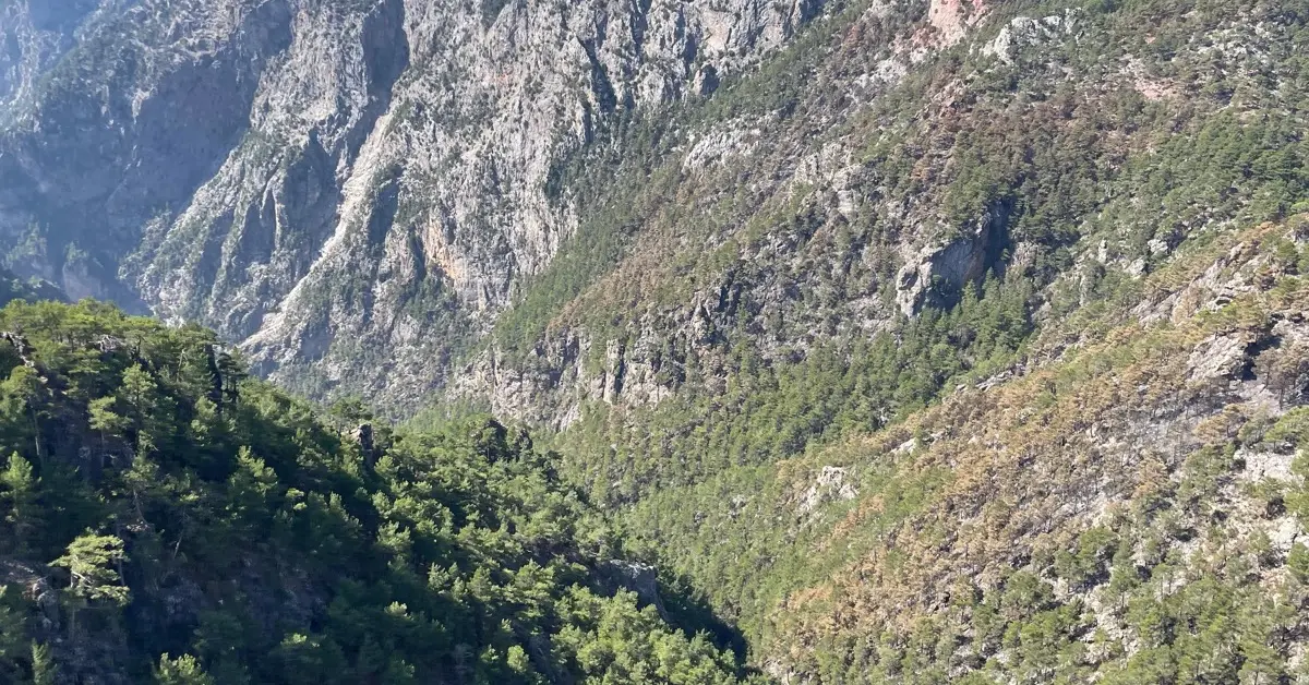 Karanlıkdere Kanyonu