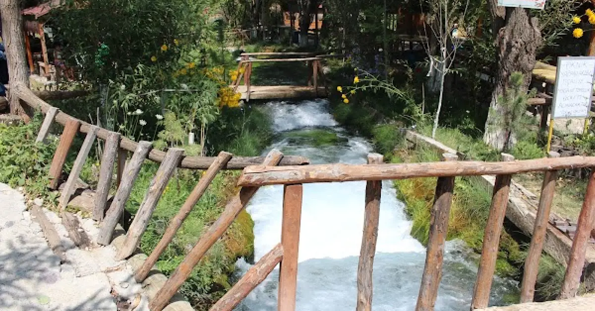Kemah Soğuksular Aile Piknik Alanı