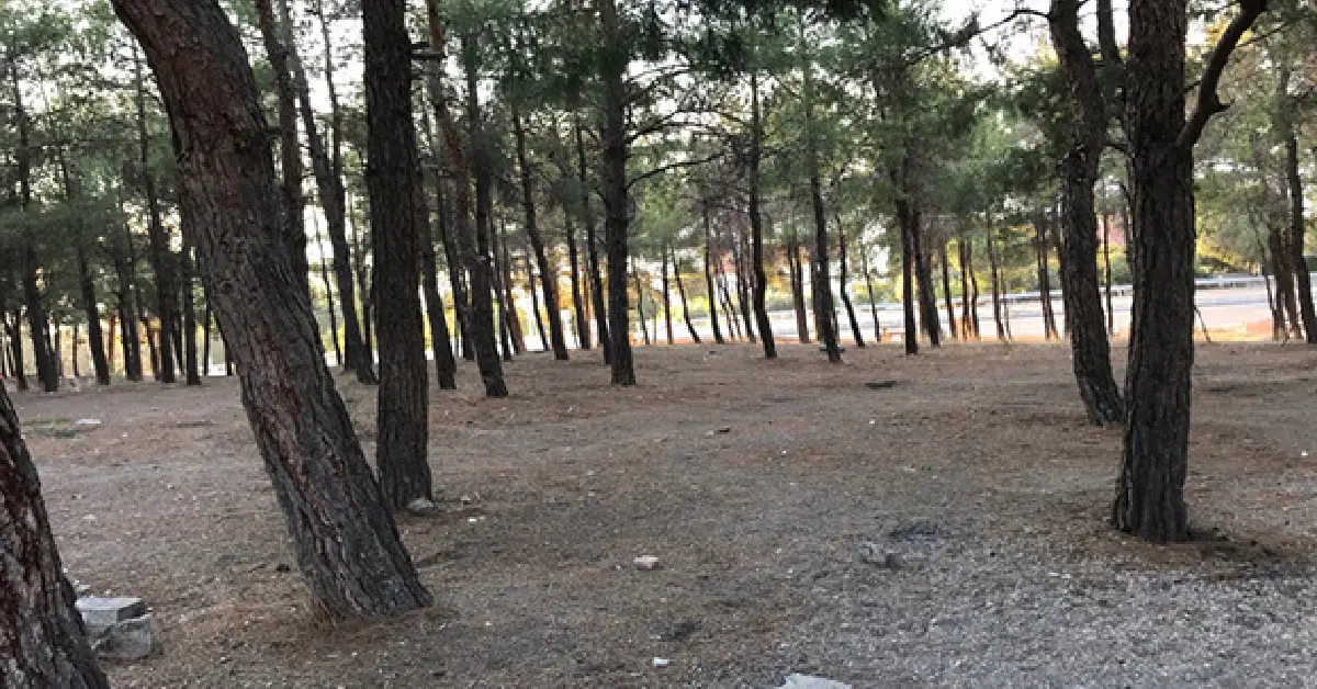 Burdur Kent Ormanı