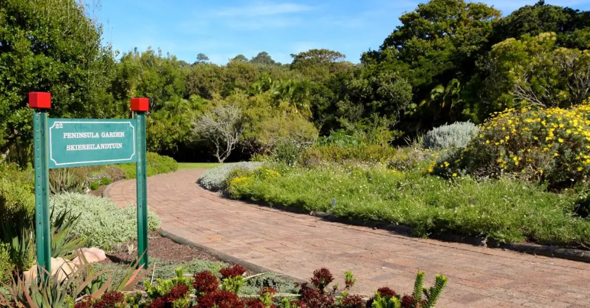 Kirstenbosch Ulusal Botanik