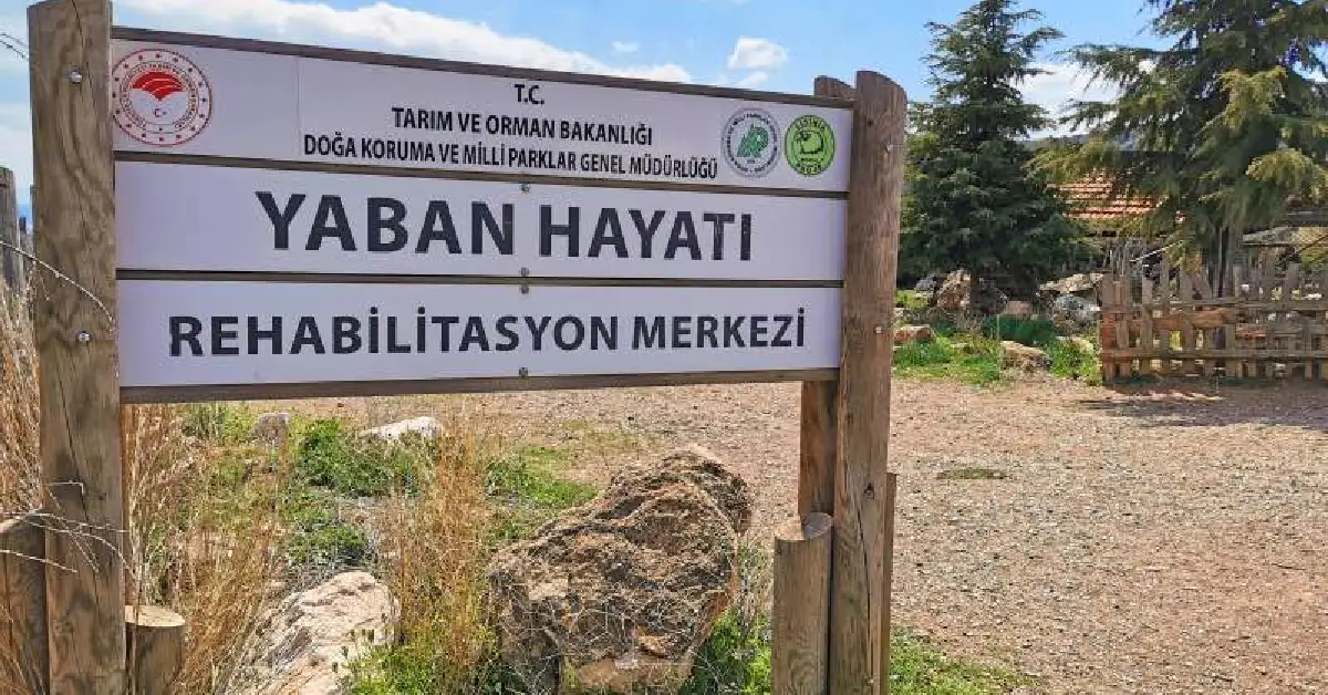 Lisinia Yaban Hayatı Rehabilitasyon Merkezi