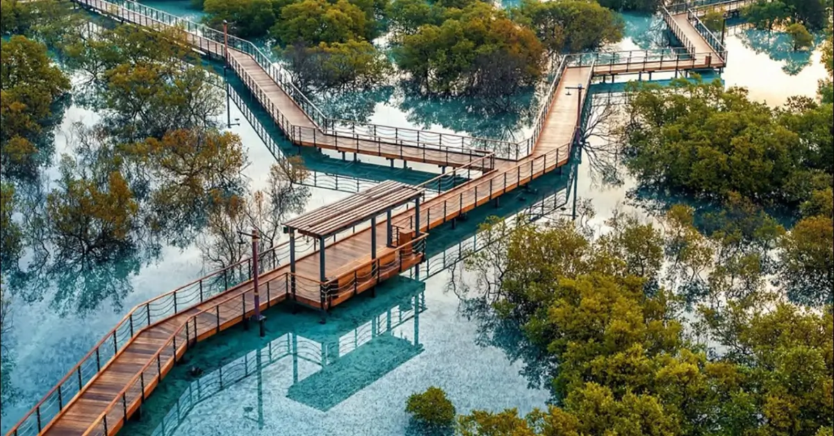 Mangrove National Park