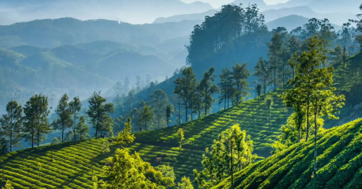 munnar