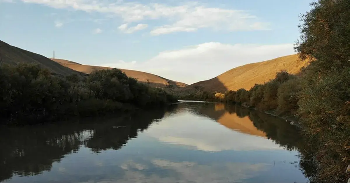 Murat Nehri