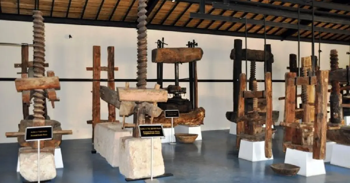 Oleatrium Zeytin ve Zeytinyağı Tarihi Müzesi