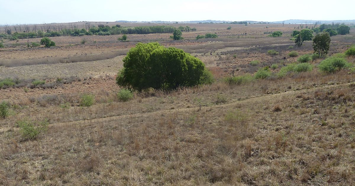Rietvlei Wetland And Nature Reserve
