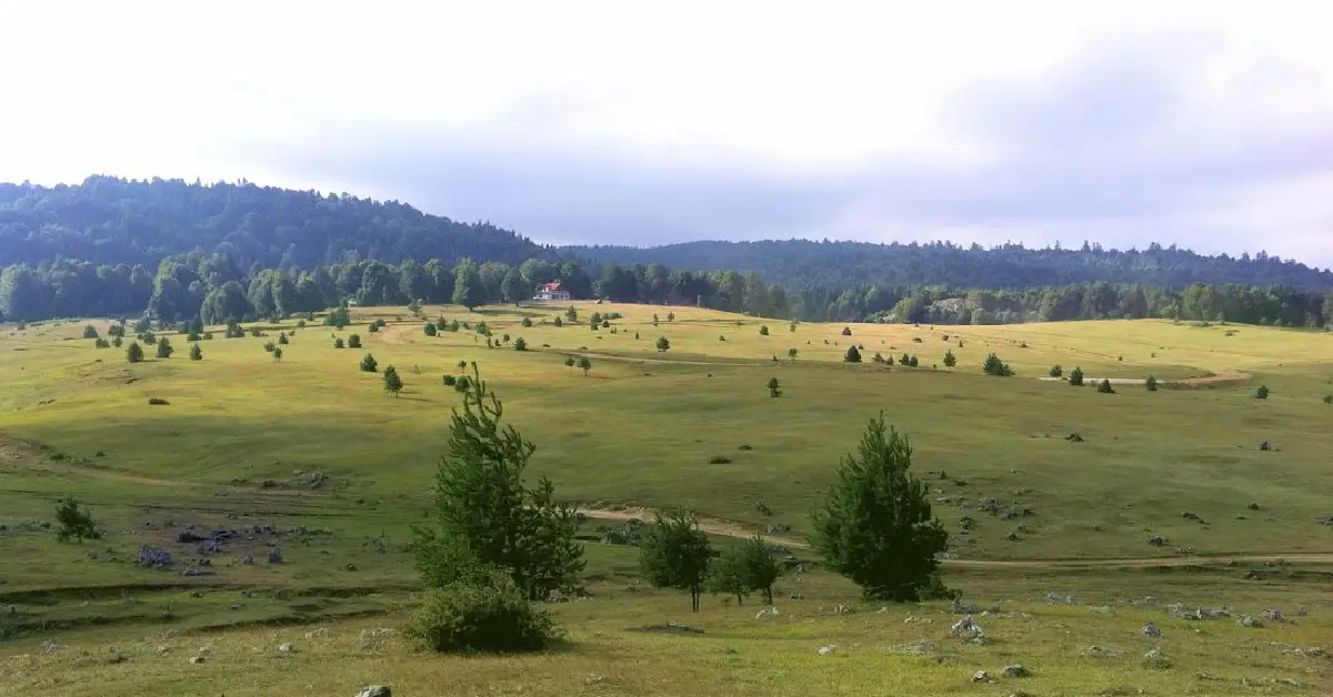 soğucak yaylası