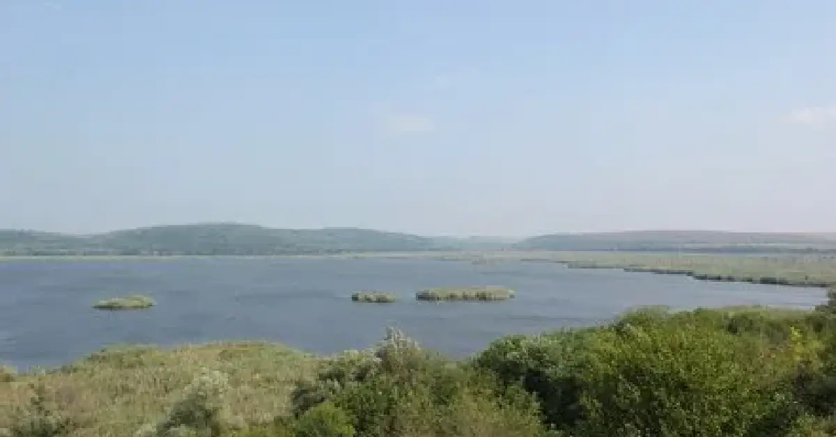 Srebarna Doğa Koruma Alanı