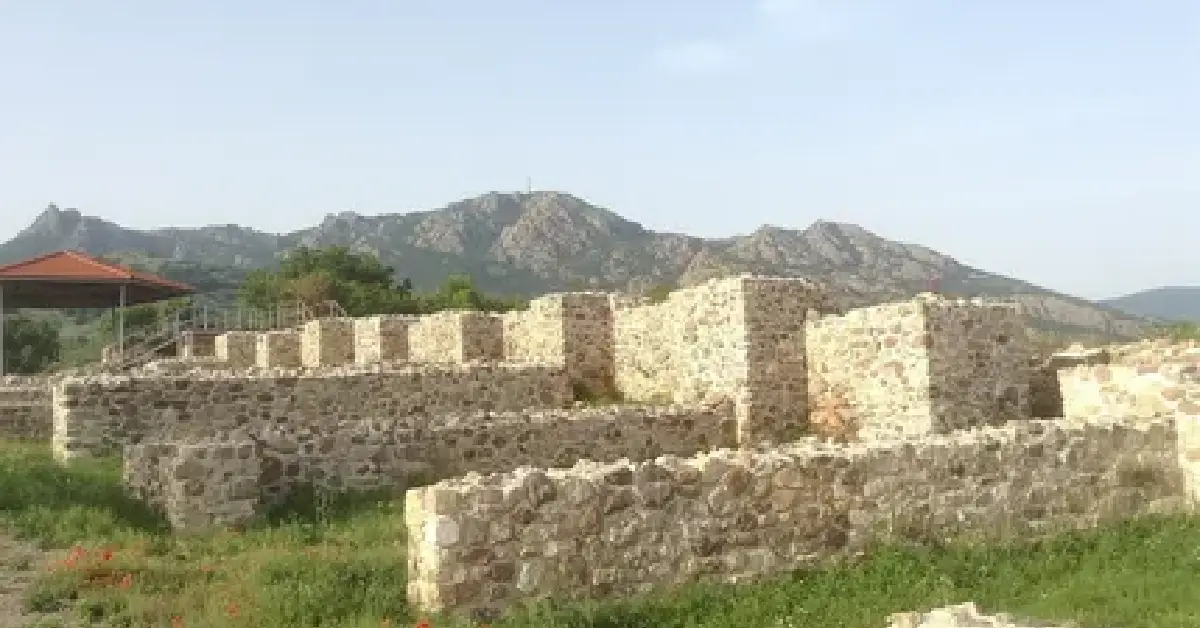 Tuida Kalesi