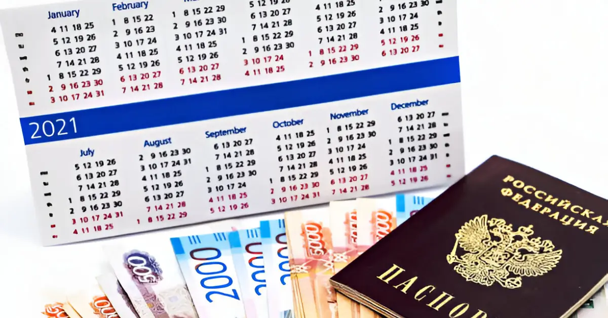 Ulusal Vizenin Maliyeti Nedir?
