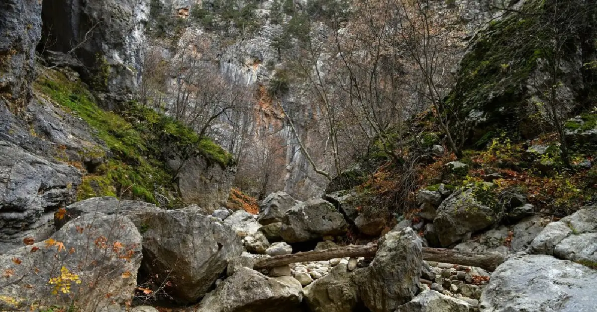 Yaka Kanyonu