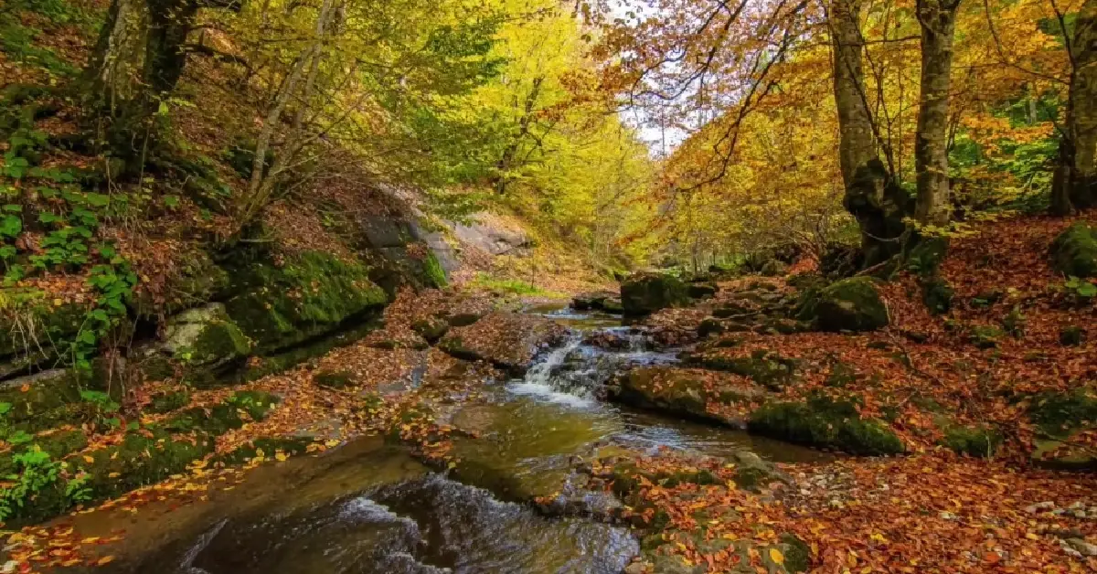 Yılançatı Kanyonu Tabiat Parkı