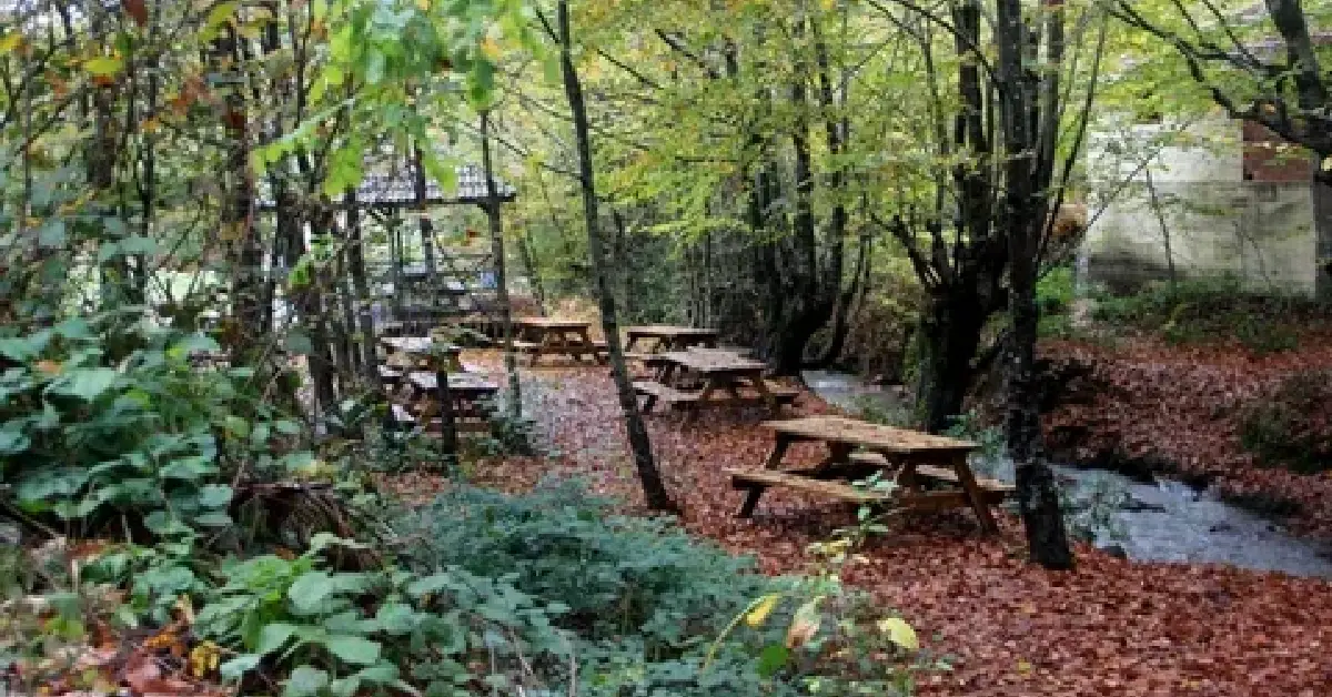 Zonguldak Kent Ormanı