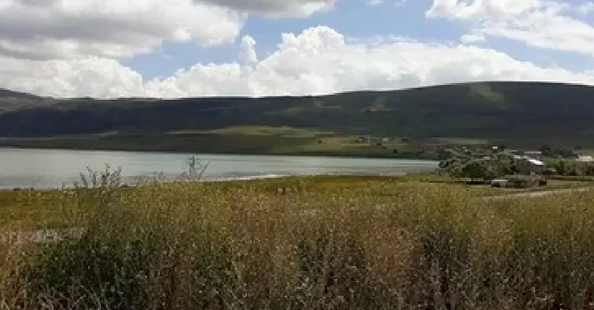 Aktaş Gölü