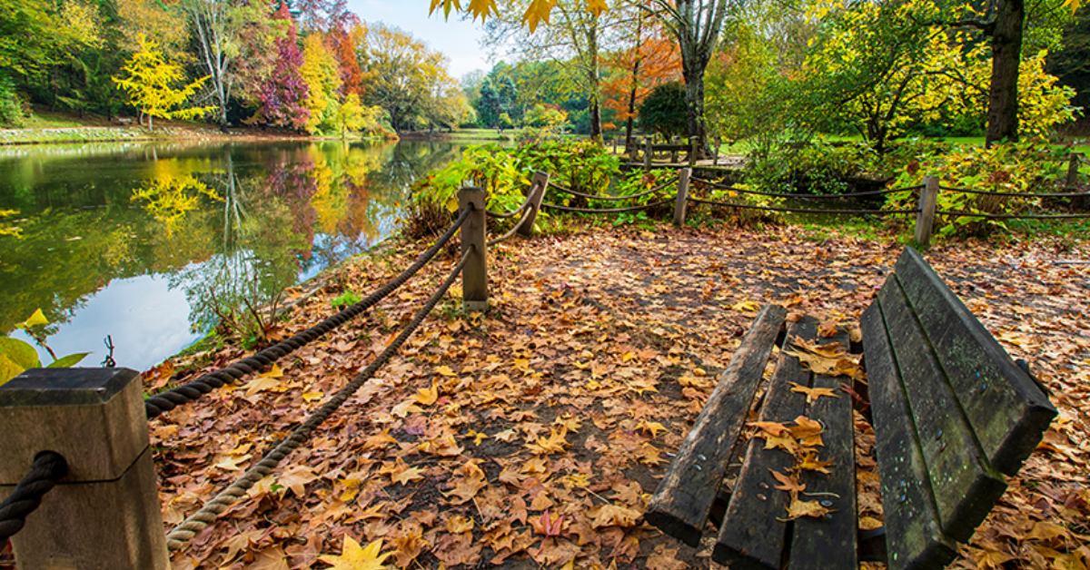 Atatürk Arboretumu