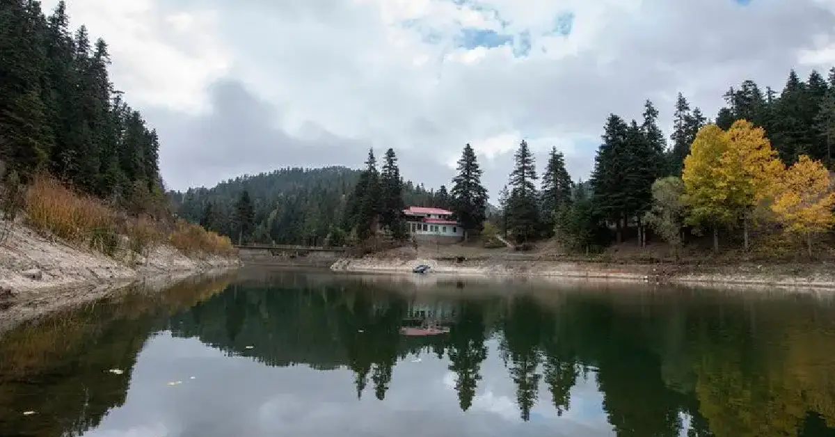 Ayancık