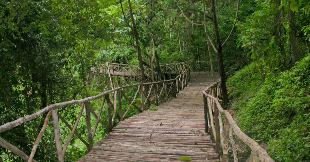 Belum Rainforest