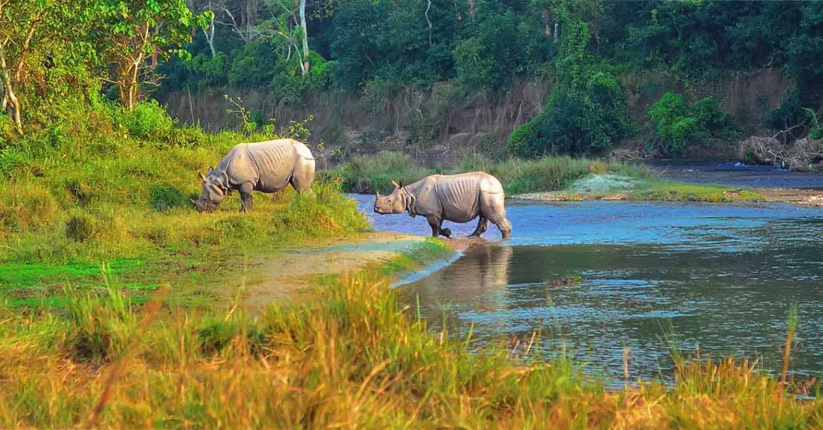 Chitwan National Park
