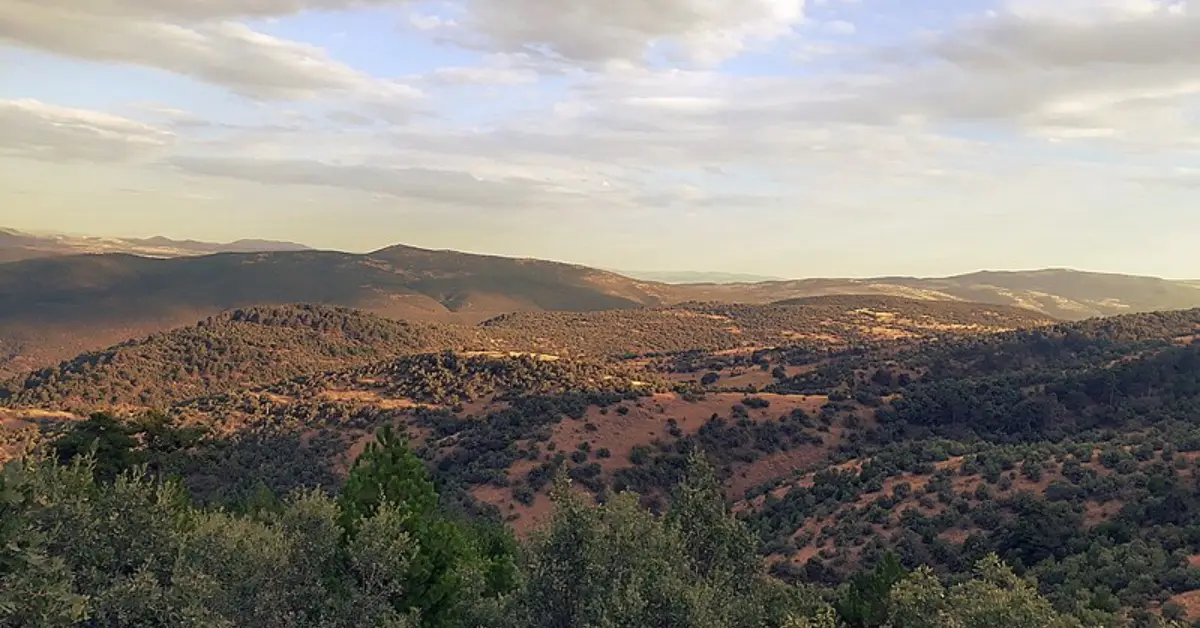 Dıranaz Soğuksu Mevkii