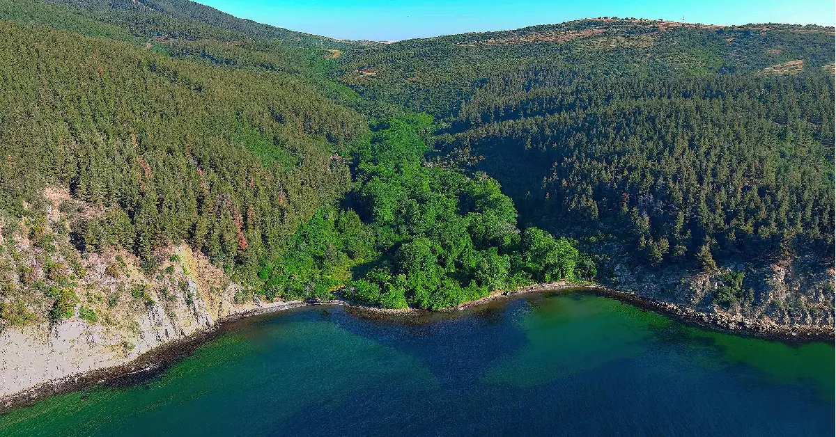 Dut Limanı Koyu