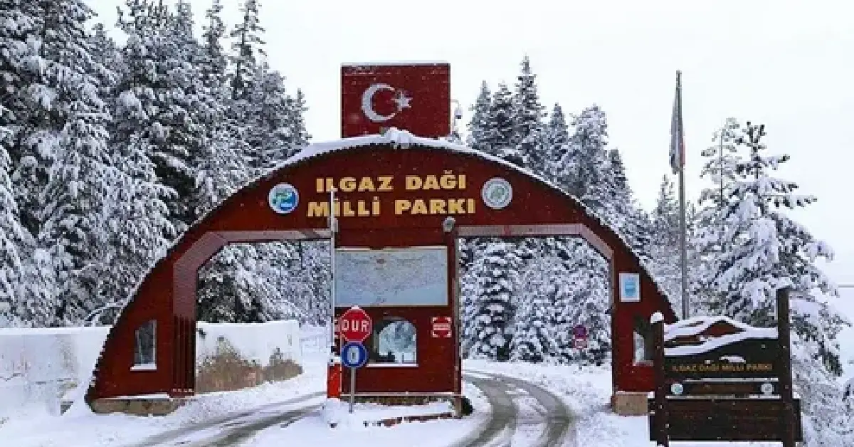 Ilgaz Dağı Milli Parkı