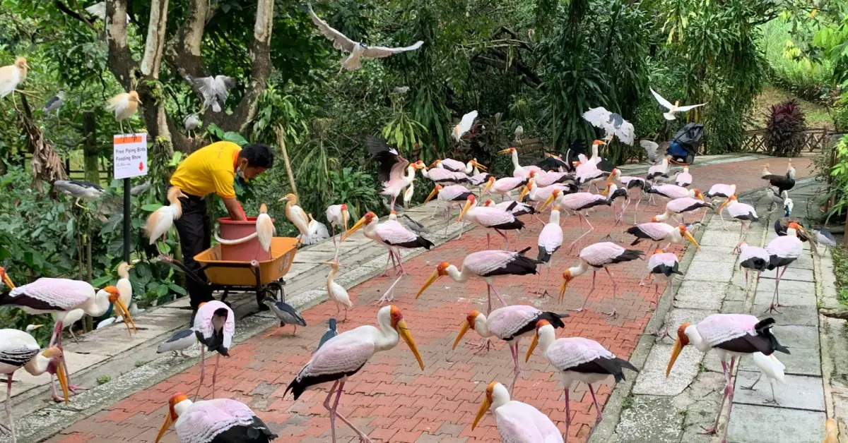 Kuala Lumpur Kuş Parkı