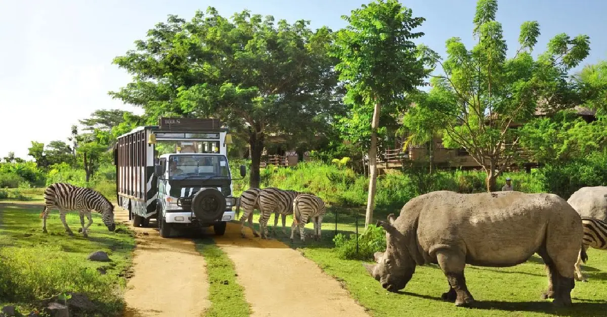 Safari Parkı