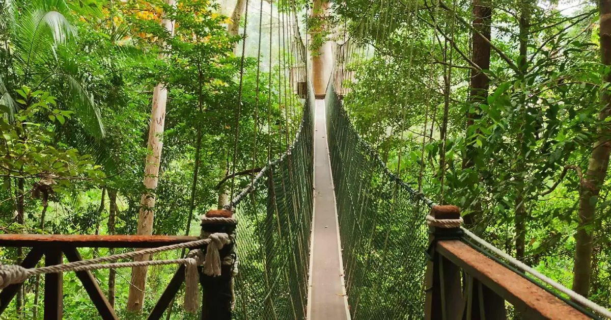 Tamam Negara