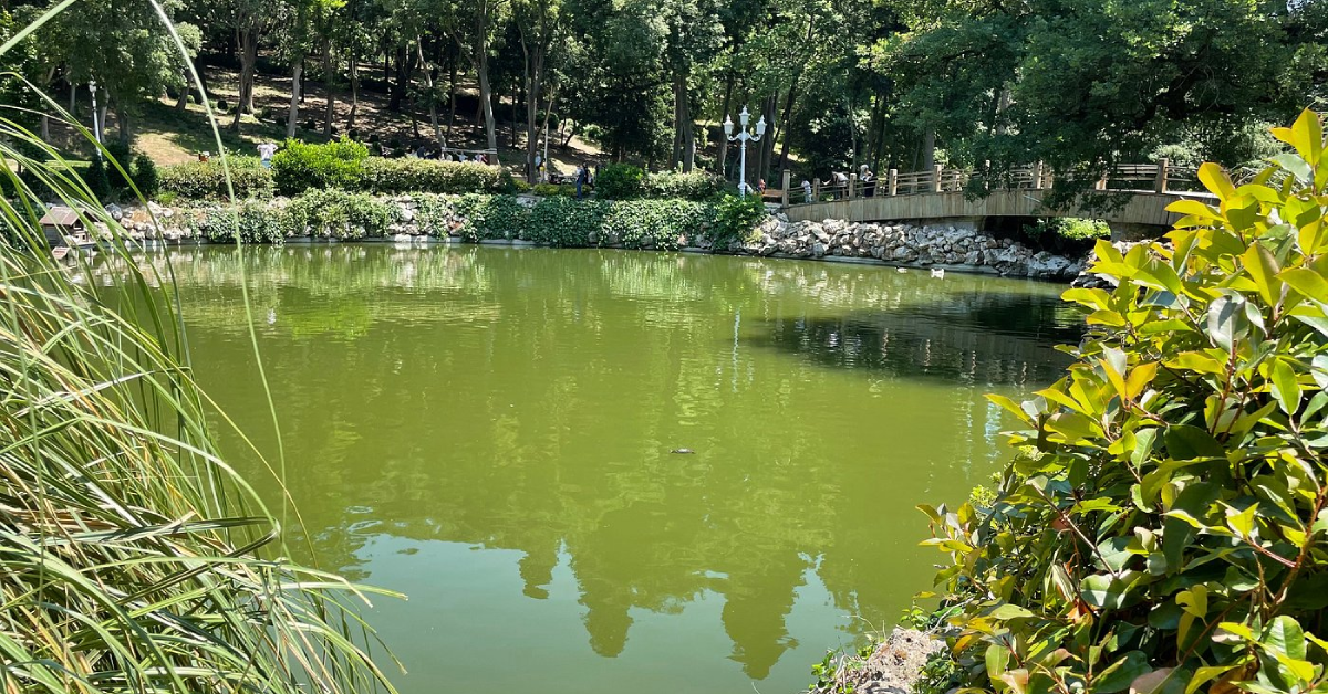 Yıldız Parkı