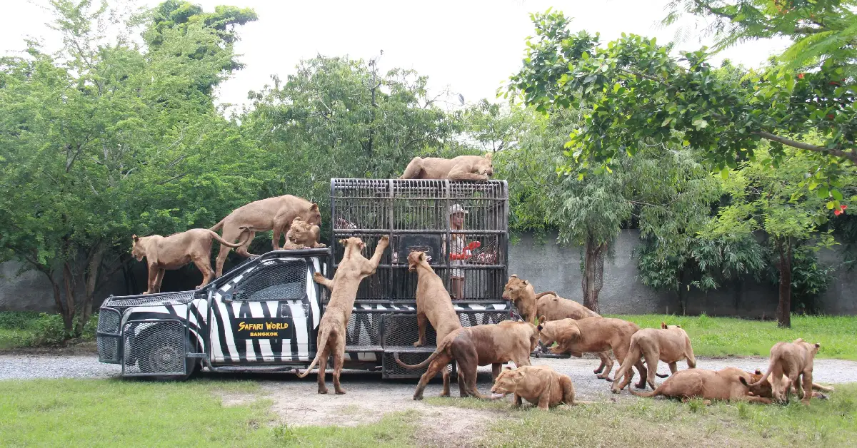 Safari World
