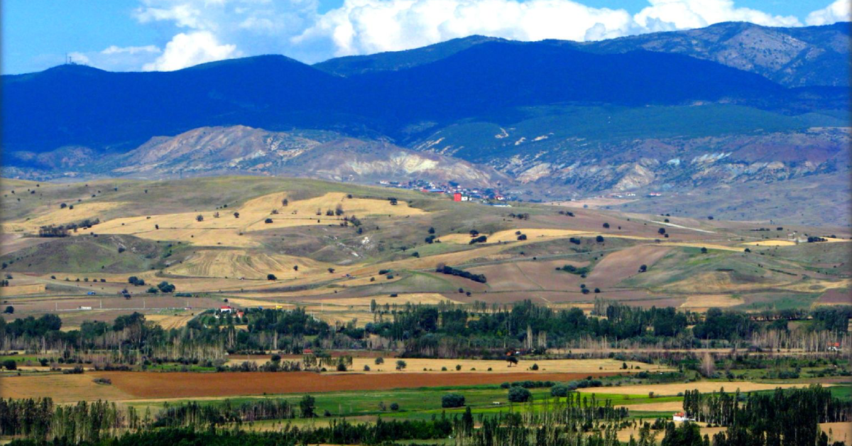 Coğrafi Özellikler