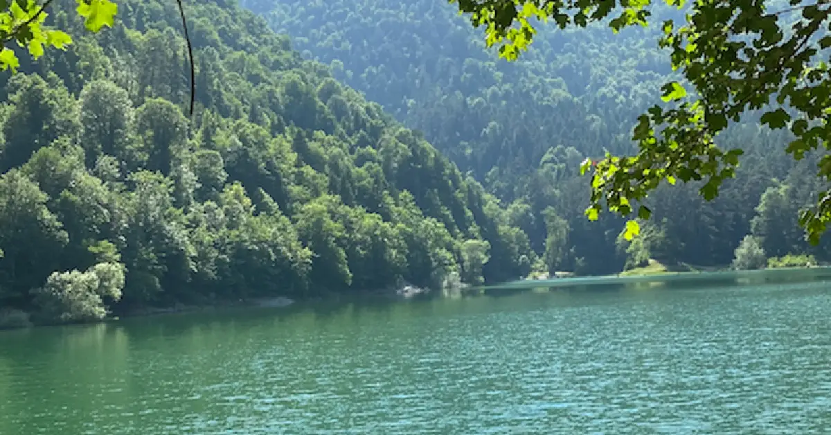 Kuzuluk Yaylası