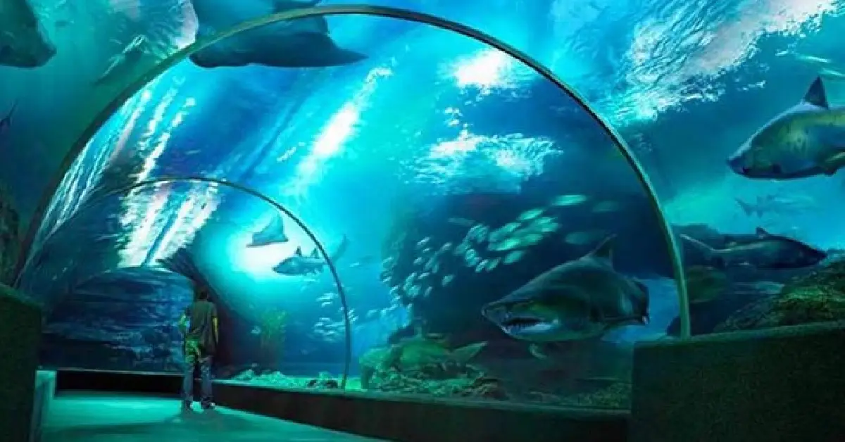 Sea Life Bangkok Ocean World