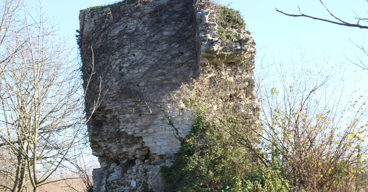 Seyfiler Kalesi