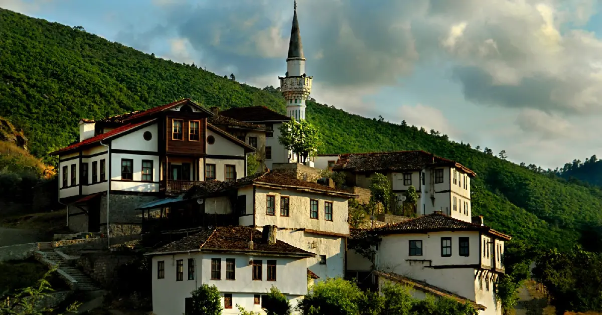 Taraklı
