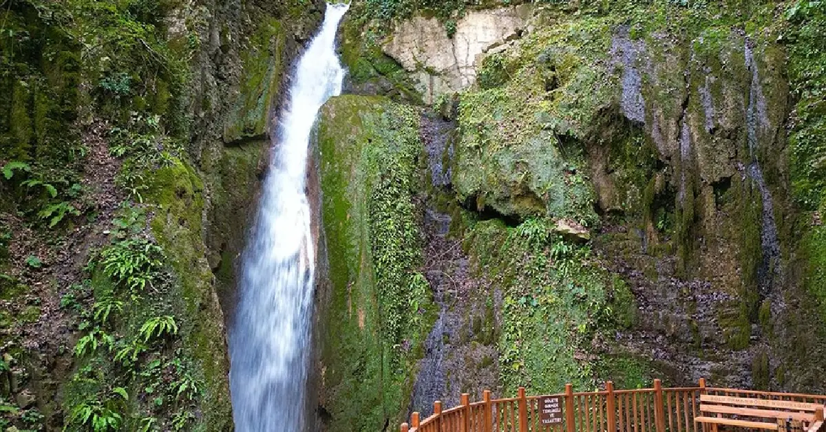 Aktaş Şelalesi