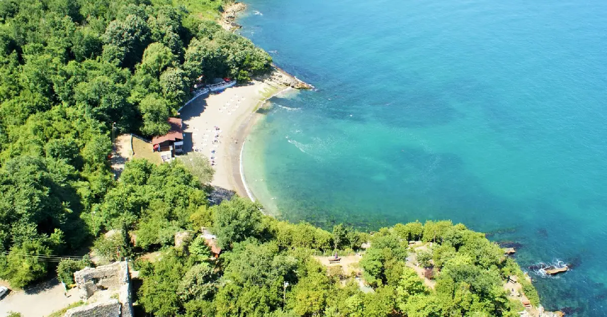 Arabacı Köyü