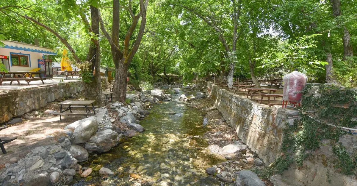 Çağlayan Piknik Plajı