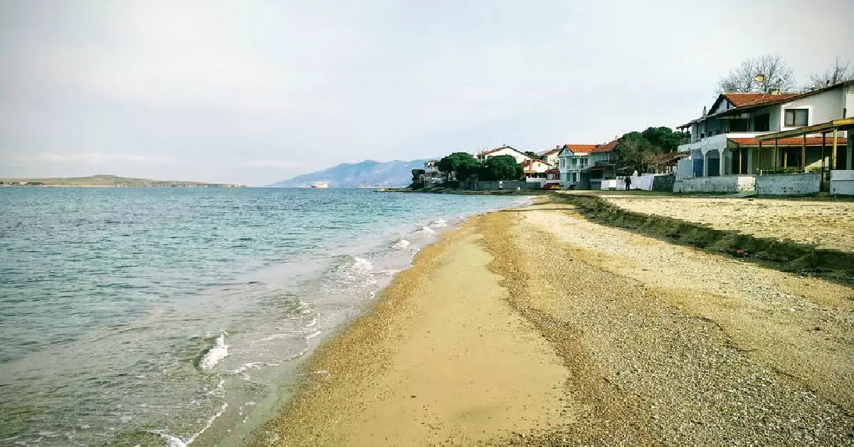 Mavi Koy