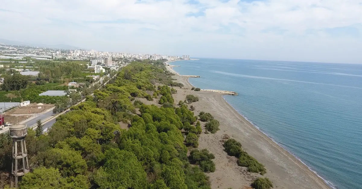 Talat Göktepe Çamlıca