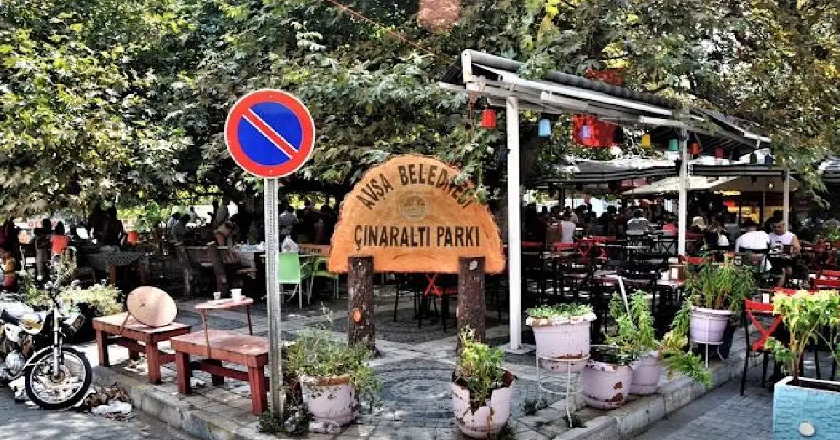 Tarihi Çınaranıtı
