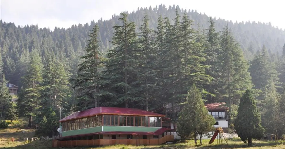 Başkonuş Yaylası