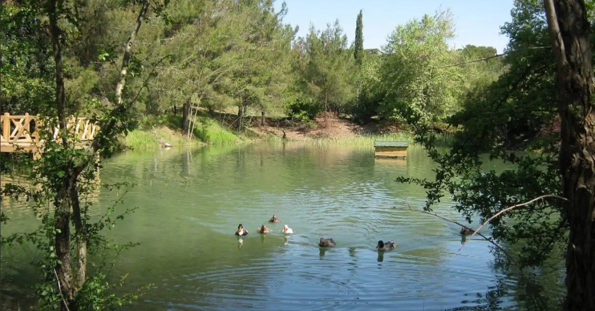 Kapıçam Tabiat Parkı