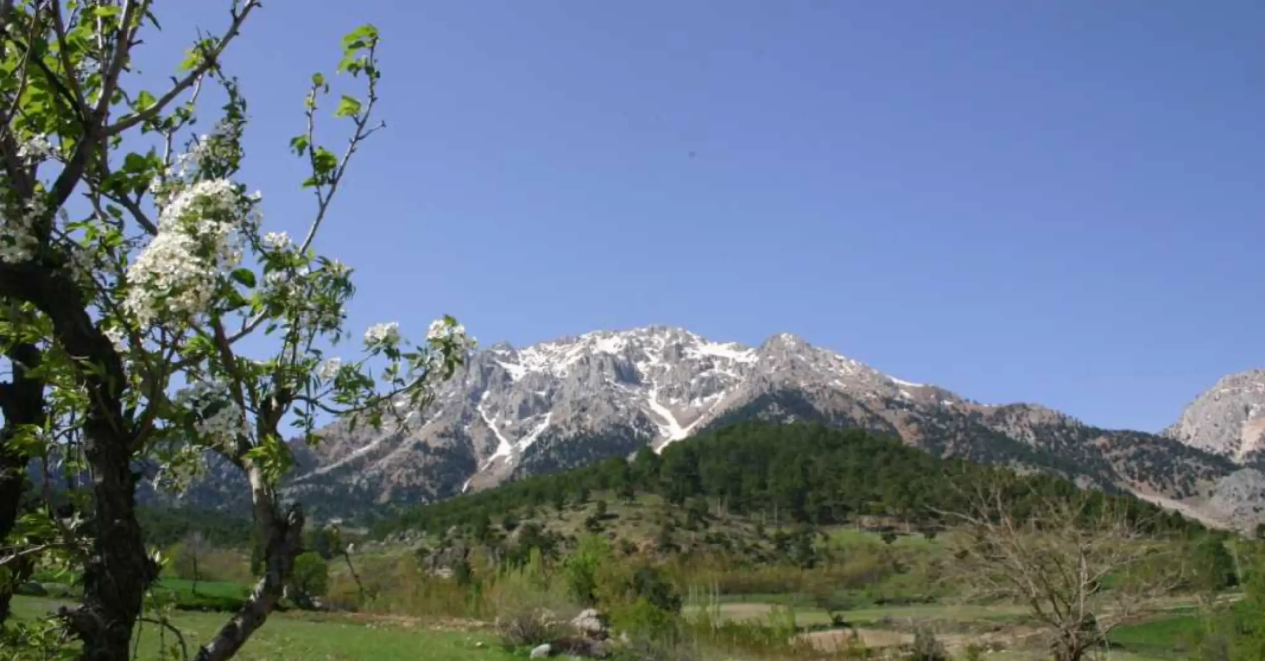 Tekir Vadisi