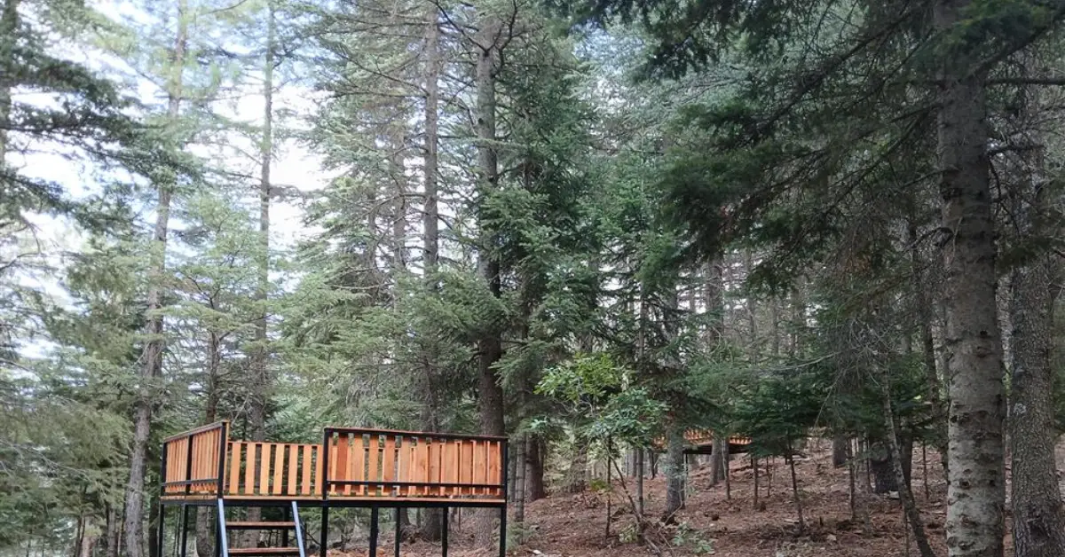 Yavşan Yaylası Tabiat Parkı