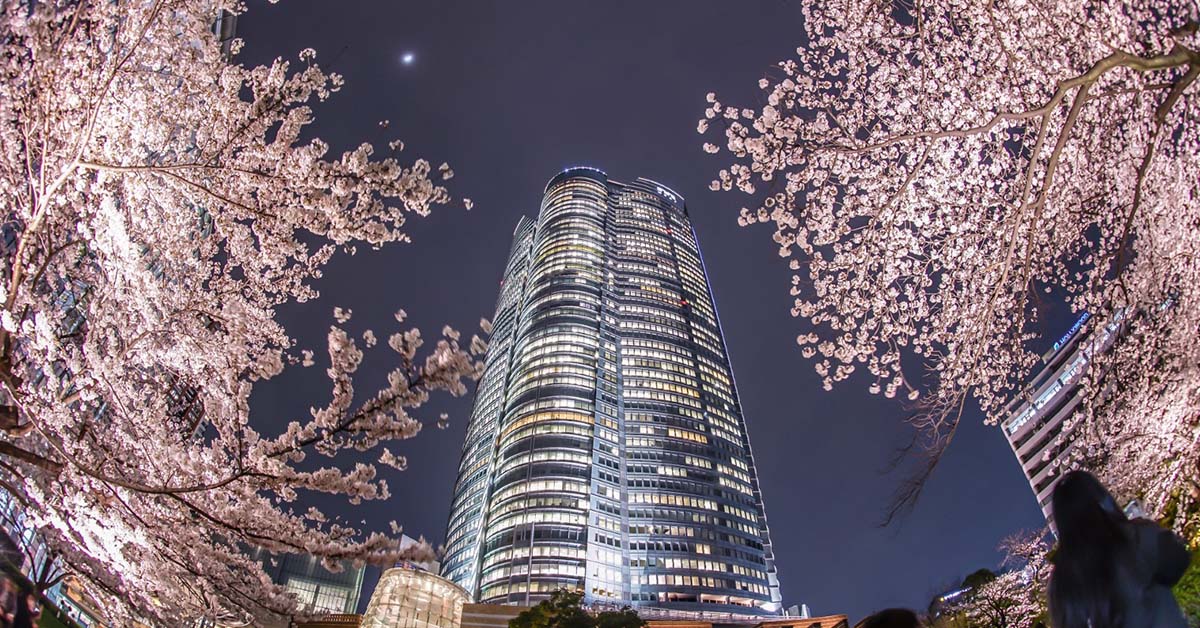 roppongi hills