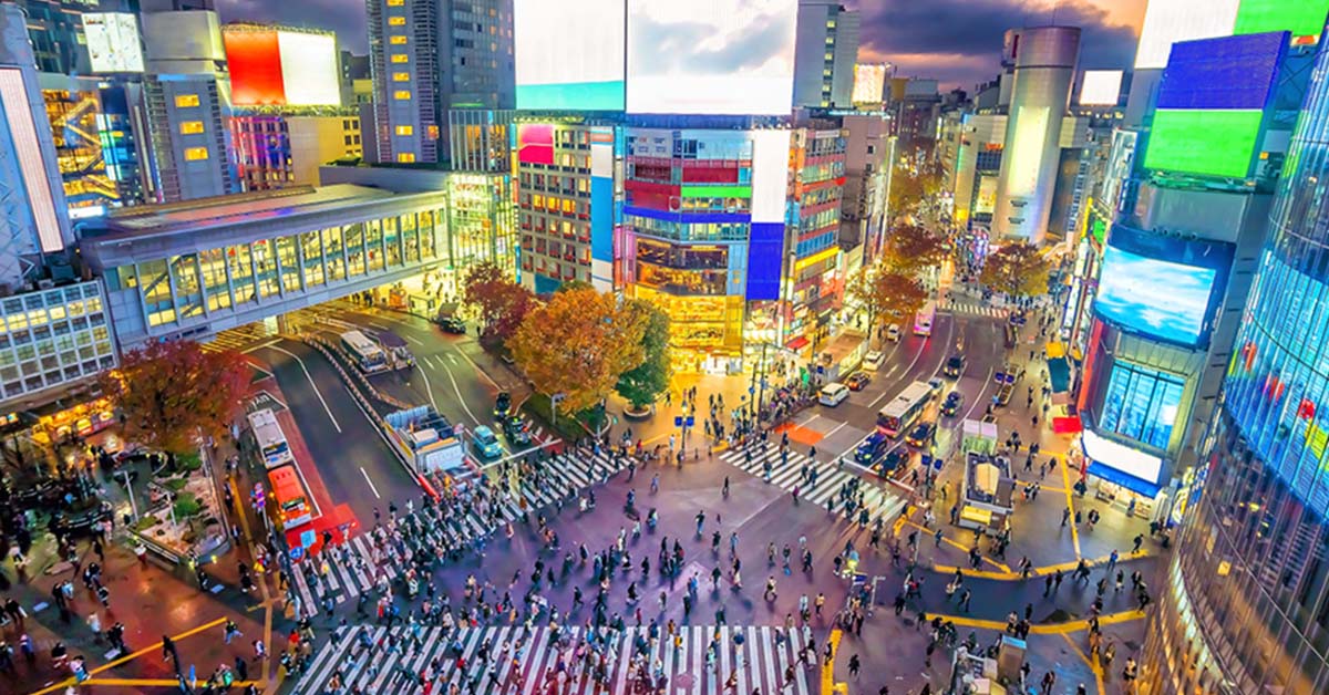 shibuya bolgesi