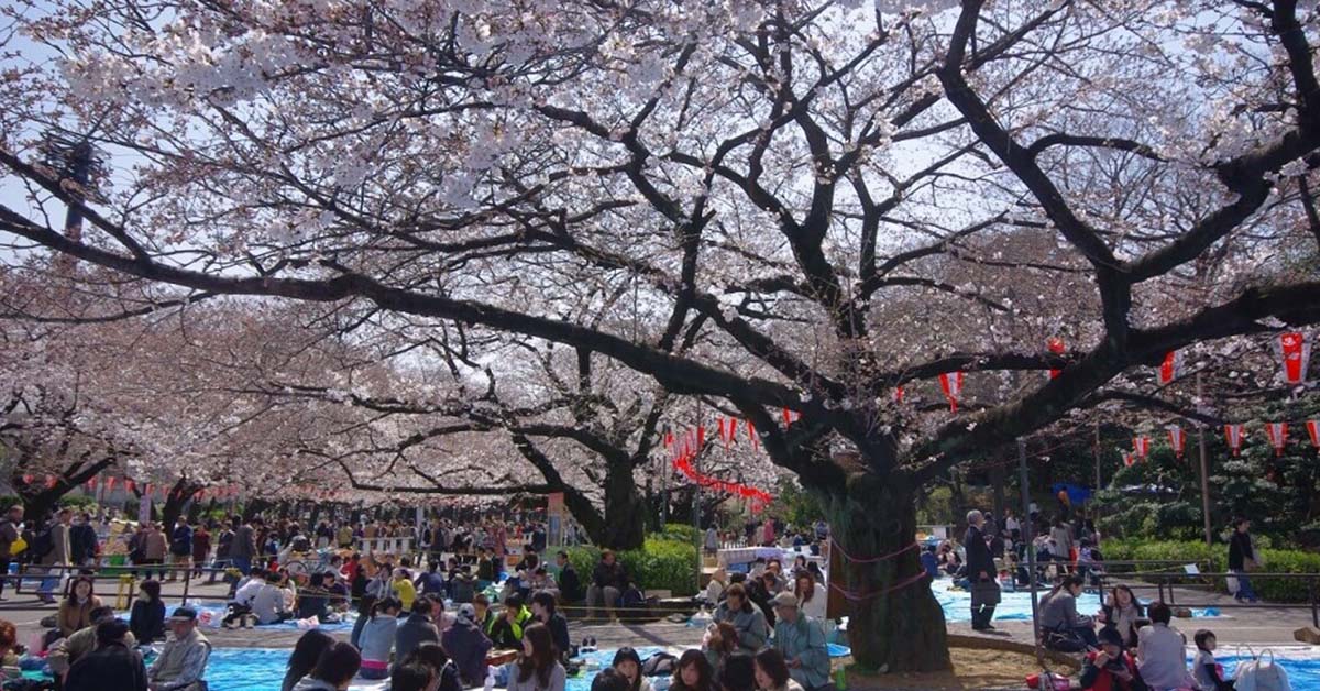 ueno parki