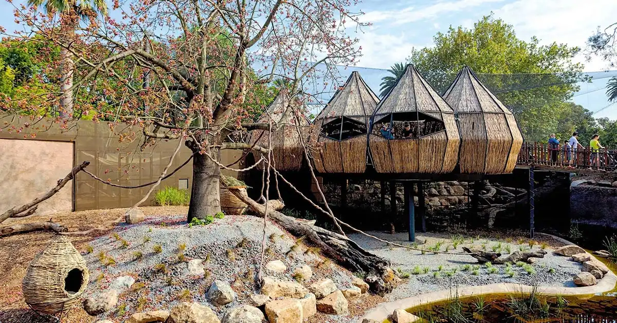 melbourne zoo